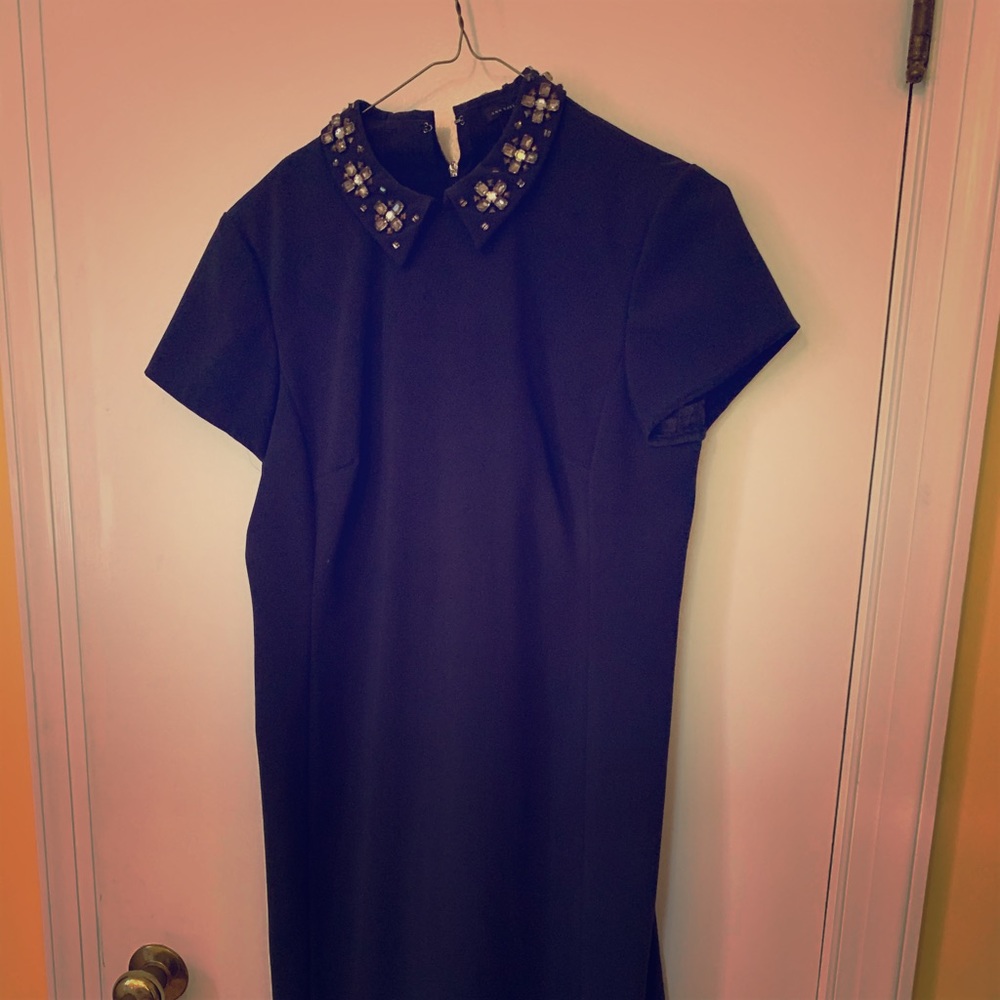 Adorable JCrew Navy dress.